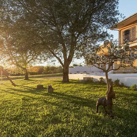 Living With Nature Apartmán Pula